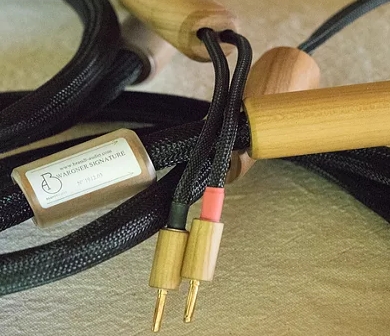 Brandt speaker
